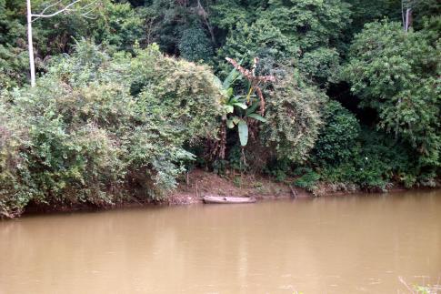 Exemplo de mata ciliar em bom estado de conservação no alto curso do rio Ribeira